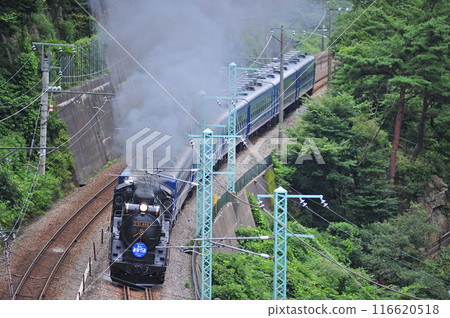 Joetsu Line Kamimoku-Minakami JR East D51-498+12 series (Takasaki) SL Minakami 116620518