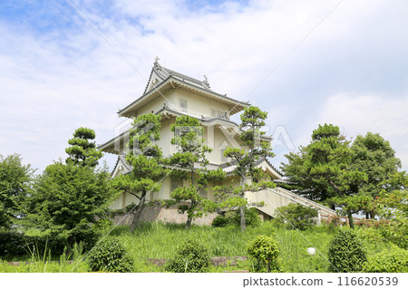 Local History Exhibition Room (Kisai Castle) in Kasukabe City, Saitama Prefecture 116620539