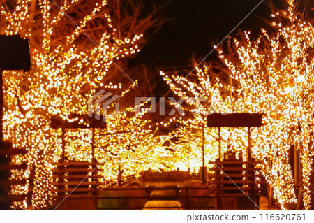 Isawa Onsen Illumination 116620761