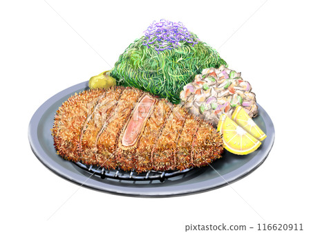 炸豬排、高麗菜、馬鈴薯沙拉和檸檬的圖片 炸豬排、高麗菜、馬鈴薯沙拉和檸檬的圖片 116620911