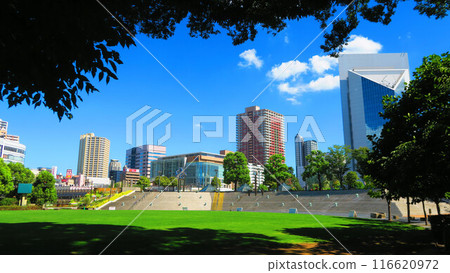 埼玉縣川口市莉莉亞公園(川口西公園)風景 埼玉縣川口市莉莉亞公園(川口西公園)風景 116620972