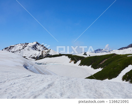 立山黑部阿爾卑斯山脈路線室堂山頂禦庫裡池的風景,是初夏的旅遊勝地 立山黑部阿爾卑斯山脈路線室堂山頂禦庫裡池的風景,是初夏的旅遊勝地 116621091