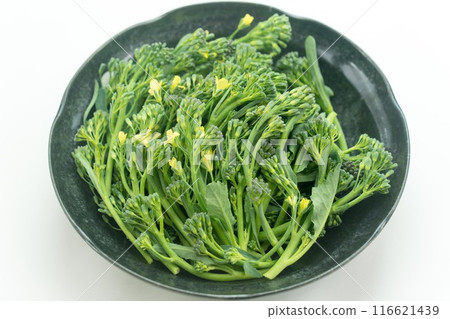 綠花椰菜改良品種：Hanakkori 116621439