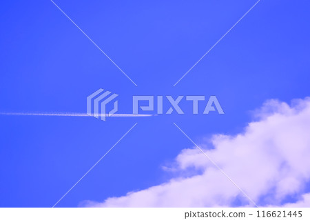藍天白雲和飛機（背景資料） 116621445
