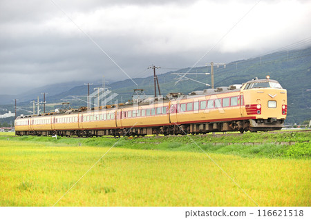 磐越西線豬苗代川形 JR東日本485系列T18編組(新潟)會津夾擊賽跑者 磐越西線豬苗代川形 JR東日本485系列T18編組(新潟)會津夾擊賽跑者 116621518