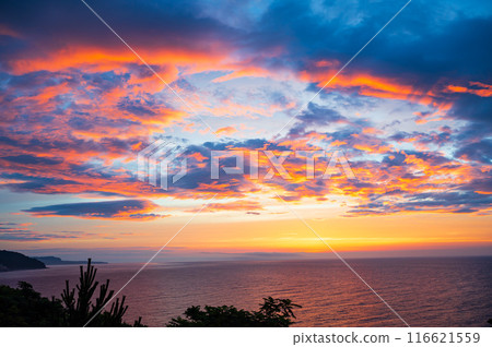 東伊豆的清晨,海上日出 東伊豆的清晨,海上日出 116621559