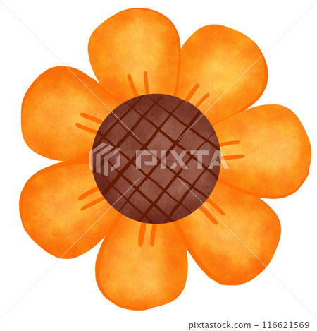 Cute sunflowers Cute sunflowers 116621569