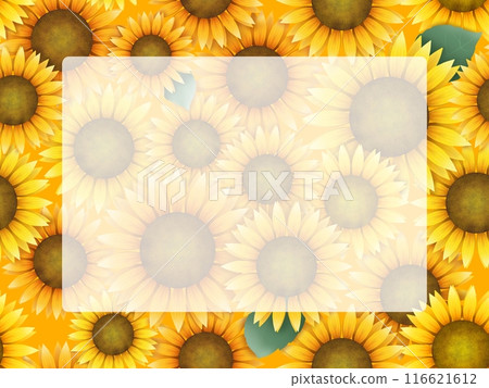 向日葵背景 向日葵背景 116621612