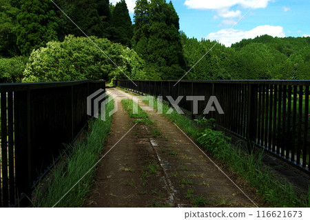 Scenery of the former JNR Miyahara Line promenade in Oguni-machi, Aso-gun, Kumamoto Prefecture, Konogawa Bridge Scenery of the former JNR Miyahara Line promenade in Oguni-machi, Aso-gun, Kumamoto Prefecture, Konogawa Bridge 116621673