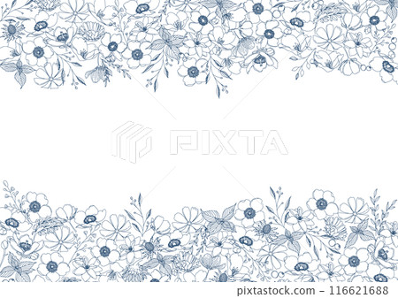 Beautiful floral line drawings, botanical frame material Beautiful floral line drawings, botanical frame material 116621688