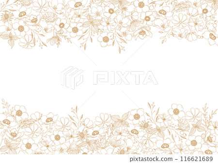 Beautiful floral line drawings, botanical frame material 116621689