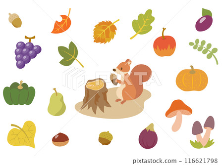 一群松鼠拿著橡子、秋天的食物和彩葉 116621798