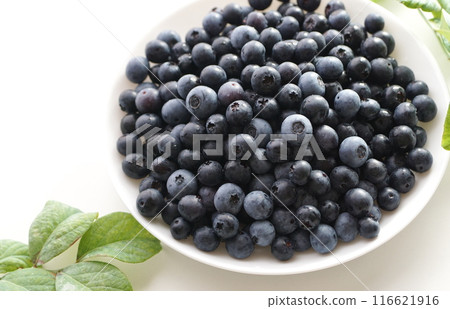 早上採摘的藍莓 116621916