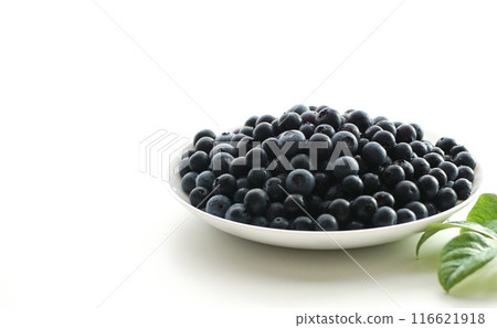 Morning picking blueberries Morning picking blueberries 116621918