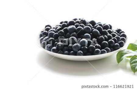 早上採摘的藍莓 116621921