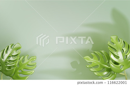 3d background with monstera leaves and shadow on light green wall render. Tropical summer ad banner with exotic plant leaf, empty space for spa, beauty product and travel presentation. 3D illustration 3d background with monstera leaves and shadow on light green wall render. Tropical summer ad banner with exotic plant leaf, empty space for spa, beauty product and travel presentation. 3D illustration 116622001