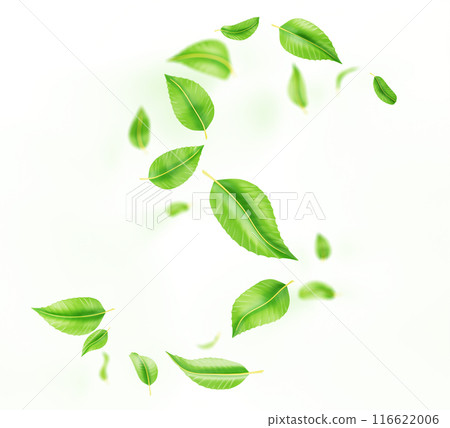 3d abstract green leaves swirl wave line, spiral wind effect isolated on white background. Flow fresh mint or tea foliage, herbal leaf falling and flying in air, render design element. 3D illustration 3d abstract green leaves swirl wave line, spiral wind effect isolated on white background. Flow fresh mint or tea foliage, herbal leaf falling and flying in air, render design element. 3D illustration 116622006