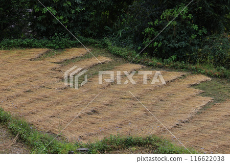 scenery of autumn in farmland and village of Birethanti, Nepal 116622038
