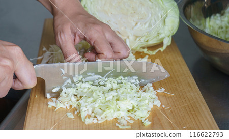 Image of finely chopped cabbage 116622793