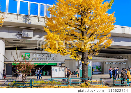 東京澀谷區千馱谷車站前的秋葉 東京澀谷區千馱谷車站前的秋葉 116622834