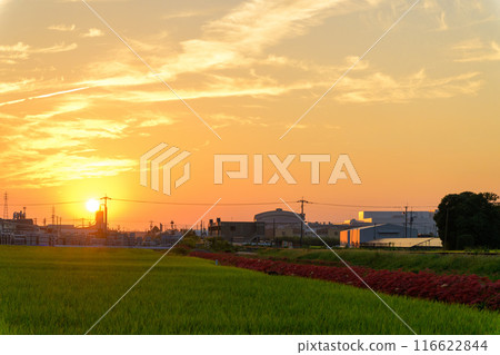 Rural and industrial landscapes lit up in the autumn evening: JR Kyushu Kyudai Main Line (Yoshii-cho, Ukiha City) 116622844