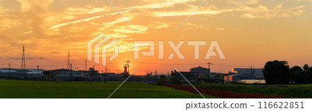 Rural and industrial landscapes lit up in the autumn evening: JR Kyushu Kyudai Main Line (Yoshii-cho, Ukiha City) 116622851