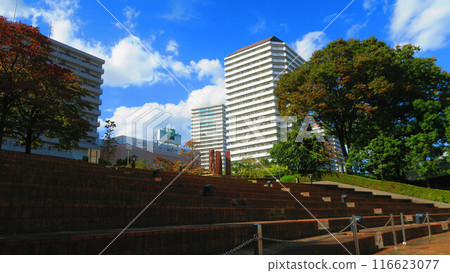 A view of Kawaguchi Nishi Park (Lilia Park) and the buildings in the west exit area in Kawaguchi City, Saitama Prefecture 116623077