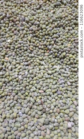 Green beans 116623096