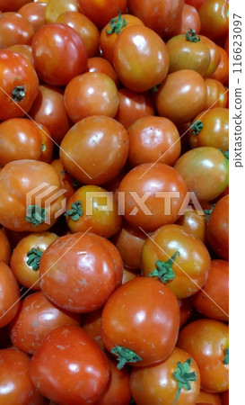lots of fresh tomatoes 116623097