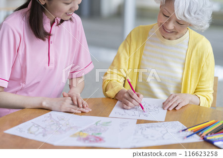 Senior woman coloring, occupational therapy image 116623258