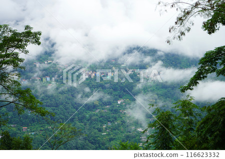 The View of House in Mountain in a Cloudy Day of North Bengal 116623332