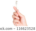 closeup hand holding electrical plug and Lan cable 116623528