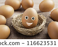 Happy eggs in the straw 116623531