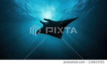 Manta ray silhouette. Generative AI 116623591