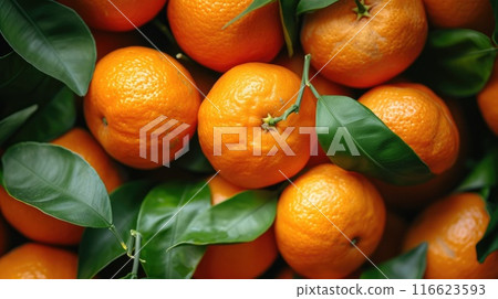 Mandarins. Generative AI 116623593