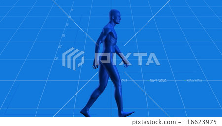 Image of digital human over data processing on blue background Image of digital human over data processing on blue background 116623975