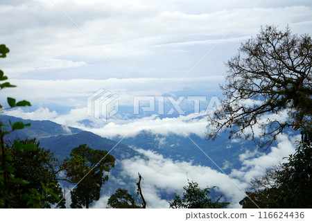 View of Cloud formation in Mountain of North Bengal View of Cloud formation in Mountain of North Bengal 116624436