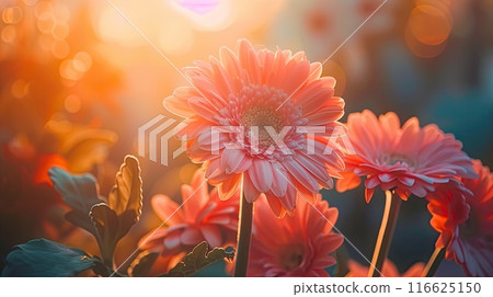 Blooming gerberas. Generative AI Blooming gerberas. Generative AI 116625150