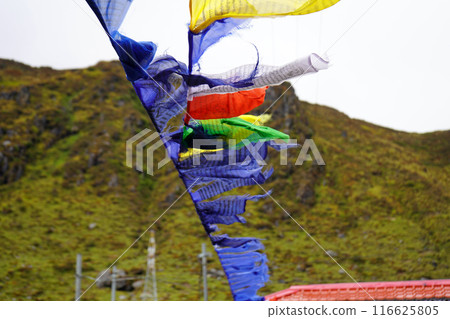 Worship flag blowing with Wind in Tsomgo or Changu Lake at Sikkim Worship flag blowing with Wind in Tsomgo or Changu Lake at Sikkim 116625805