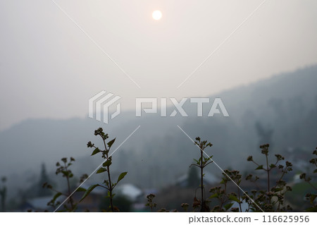 A Early Morning Sunrise in a Village of Sikkim A Early Morning Sunrise in a Village of Sikkim 116625956