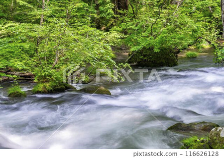Summer Oirase Keiryu Sanran no Ie Towada City, Aomori Prefecture Summer Oirase Keiryu Sanran no Ie Towada City, Aomori Prefecture 116626128