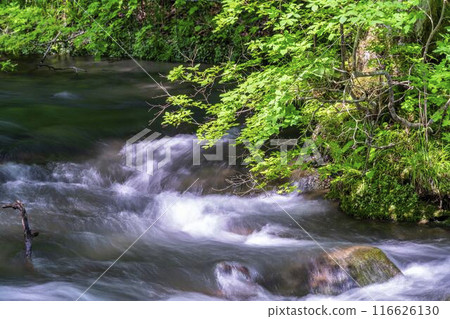 Summer Oirase Keiryu Sanran no Ie Towada City, Aomori Prefecture Summer Oirase Keiryu Sanran no Ie Towada City, Aomori Prefecture 116626130