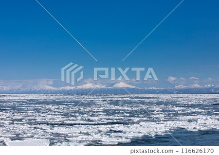 知床山脈和流冰 116626170