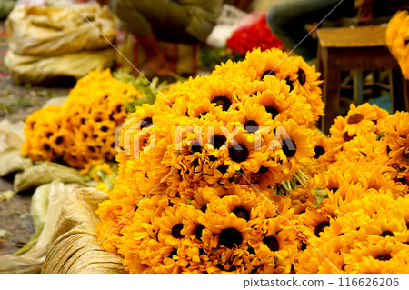 Fresh Sunflower for Sale in Howrah Flower Market 116626206