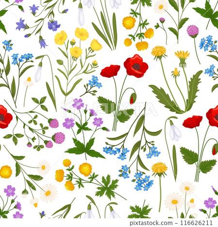 Meadow flowers seamless pattern. Wild summer botanica. Repeated print. Daisies and dandelions. Poppy buds. Cornflower branches. Field blooming herbs. Recent vector floral background 116626211