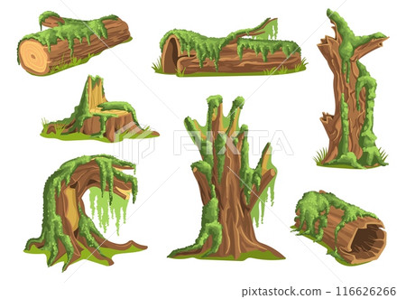 Stumps in moss. Fluffy plants on tree trunks. Wooden surfaces covered with green lichen. Creeping micro growth. Mossy branches. Overgrown wood. Splendid vector landscape elements set Stumps in moss. Fluffy plants on tree trunks. Wooden surfaces covered with green lichen. Creeping micro growth. Mossy branches. Overgrown wood. Splendid vector landscape elements set 116626266
