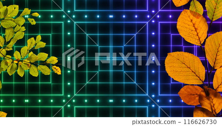 Image of leaves over neon square space Image of leaves over neon square space 116626730