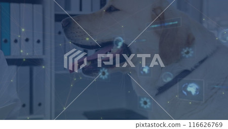 Image of data processing over caucasian male doctor with dog 116626769