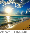 beautiful beach sunset 116626818