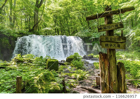 Summer Oirase Stream Choshi Otaki Towada City Aomori Prefecture Summer Oirase Stream Choshi Otaki Towada City Aomori Prefecture 116626957